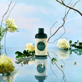 White Tea & Elderflower Body Care Collection