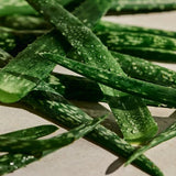 Aloe Soothing Toner