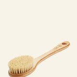 Cactus Long Handle Brush