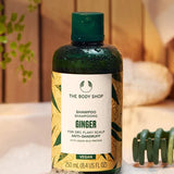 Ginger Anti-Schuppen Shampoo