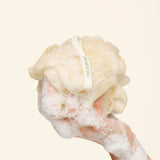 Bath Lily
